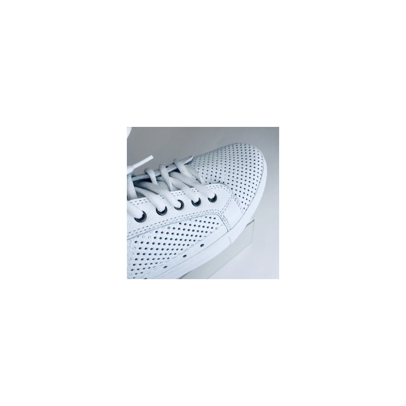 Rooman 903-217-6-1
