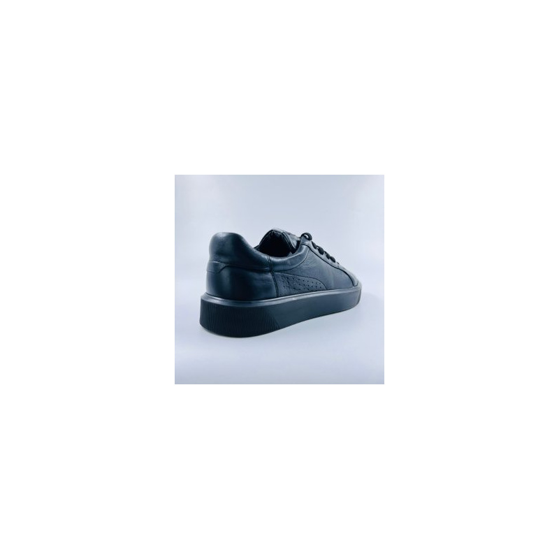 Magellan 149280237