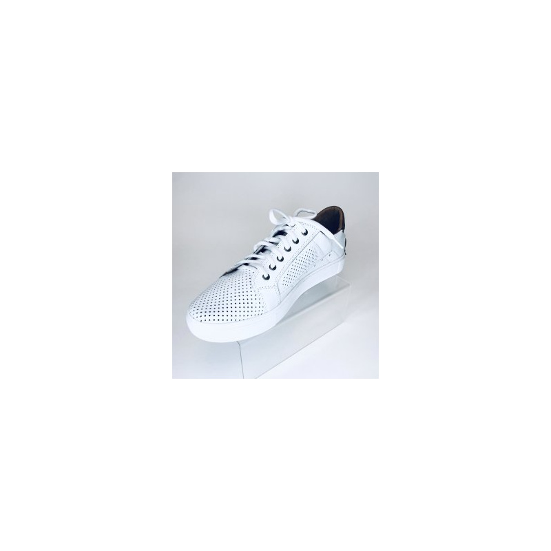 Rooman 903-217-6-1