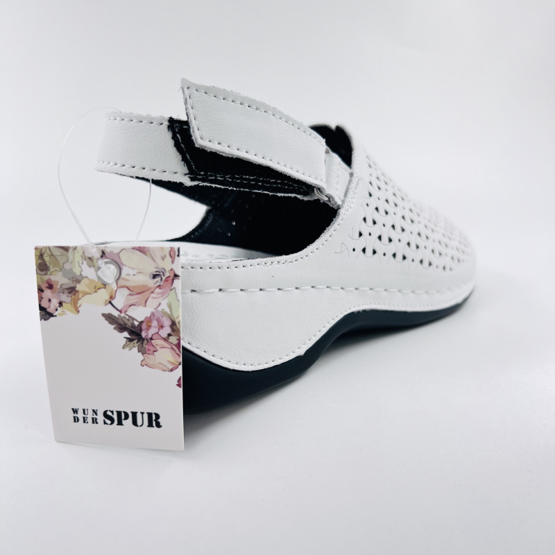 Spur XH089_02_06_SK