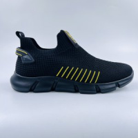 Torsion Field 218641