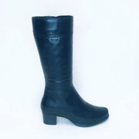 Francesco Donni 508-02
